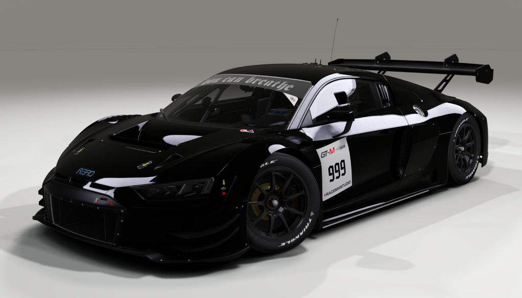 Audi R8 LMS GT3 Evo II, skin Ella Katsinskaya